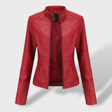 Chaqueta de Cuero con Cuello Alzado