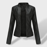 Chaqueta de Cuero con Cuello Alzado