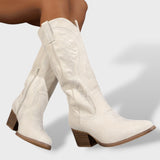 Botas Cowboy de Ante con Bordado